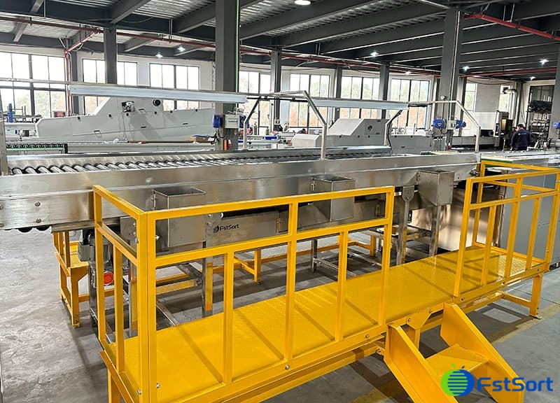 images/1733814716759fruit inspection table.jpg